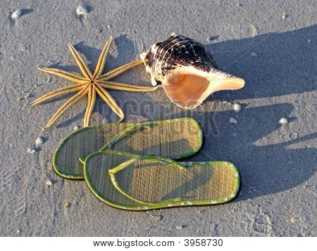 Starfish сандалии Seashell Beach
