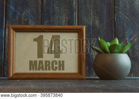 March 14th. Day 14 Of Month, Date In Frame Next To Succulent On Wooden Background Spring Month, Day 