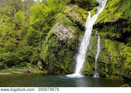 Pristine Natural Environment With A Waterfall In The Middle Of The Forest