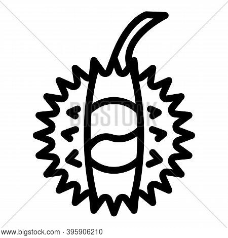 Kernel Chetnut Icon. Outline Kernel Chetnut Vector Icon For Web Design Isolated On White Background