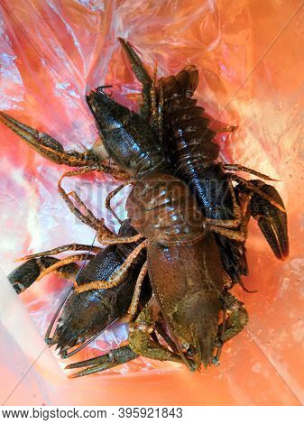 A Group Alive Crawfish In Paper Bag