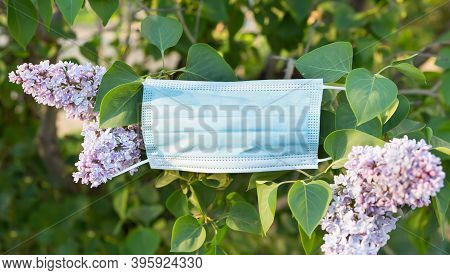 Medical Blue Mask Is On Blossoming Lilac During Quarantine