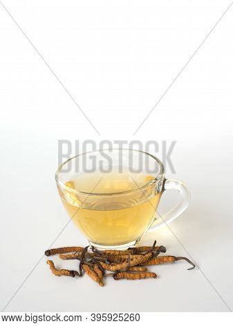 Select Focus Of Mushroom Cordyceps (chong Cao) This A Herbs. With A Glass Of Water, Add Water From T