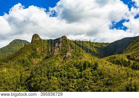 Coromandel Pinnacles at Coromandel Forest Park. Coromandel Peninsula, New Zealand.