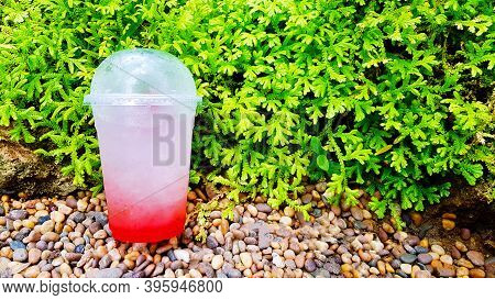 Plastic Glass Of Strawberry Italian Soda Putting On Colorful Gravel Or Pebble With Green Fern Backgr