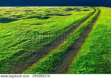 Country Road In Green Meadow . Way Through The Green Grass