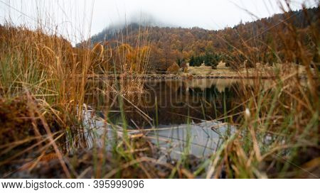 Scenic autumn view of small lake at Roosterâs Ridge, Gutaiului Mountains, Romania.