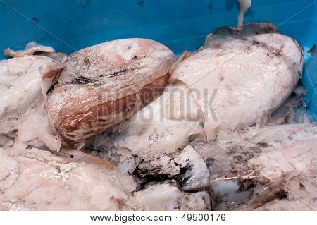 อาหารทะเล - calmari