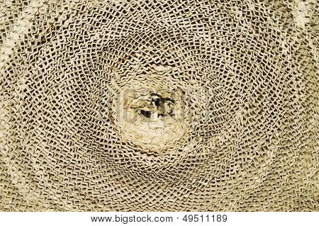 roll of paper