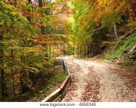Värit Fall