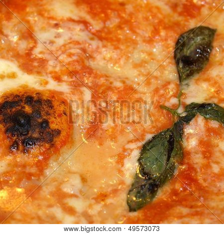 Pizza Margherita