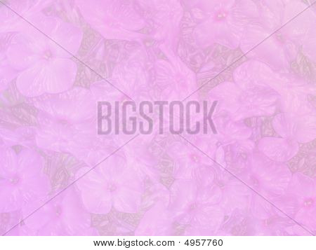 Sfondo rosa