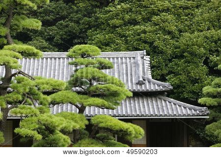 Japonia Tokio Tokyo Imperial Palace na dachu z Otemon (wschodnia brama) postrzegany przez drzewa