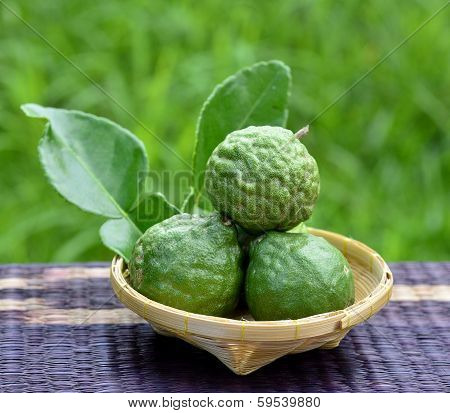 Fresh Green Bergamot Fruits With Great Compose In Basket