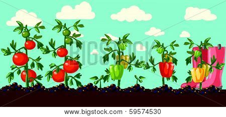 garden. vector