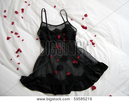 sleepwear. sexy lingerie
