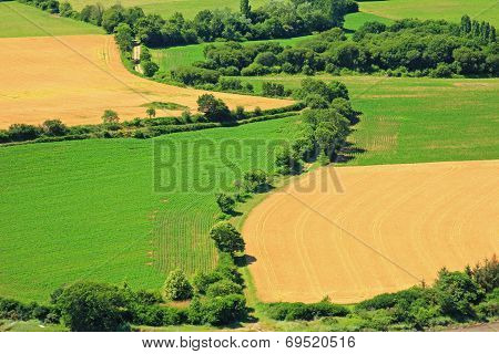 Fields from above