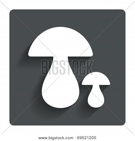 Mushroom sign icon. Boletus mushroom symbol.