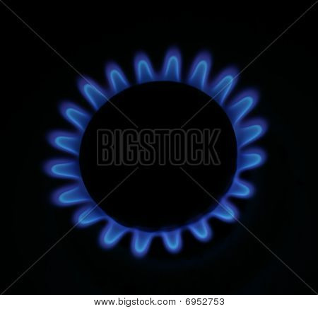 Gas stove