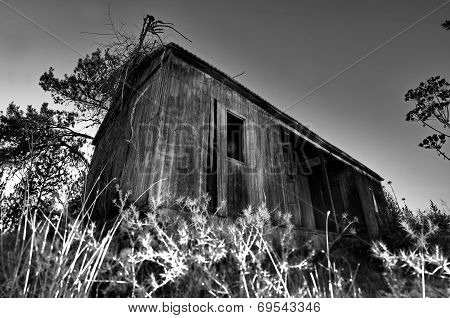 Abandoned Cabin - Light Painting