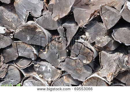 Pile Of Birch Firewood