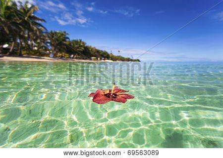 Tropical Island