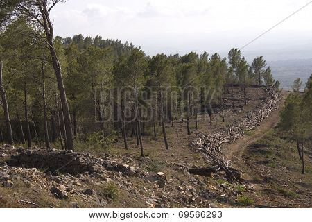 Muslim town of Alcala de Xivert