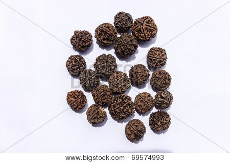 Rudraksha (Tears of Rudra or Lord Shiva) being dried in sun on an isolated background