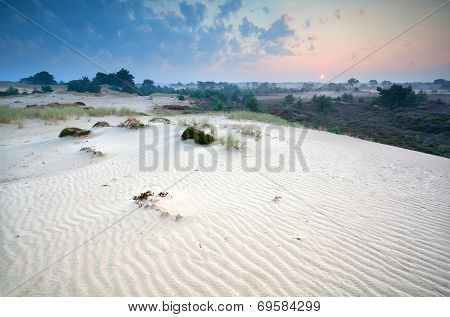 Sunrise Over Sand Dunes And Heather