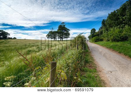 Country Lane