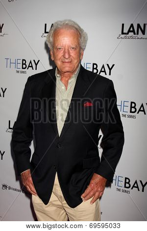 LOS ANGELES - AUG 4:  Nicolas Coster at the 