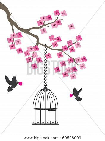 Dove And Heart