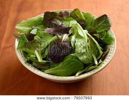Salad Greens