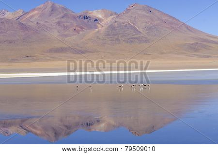 Bolivia, Antiplano - Canapa Lake