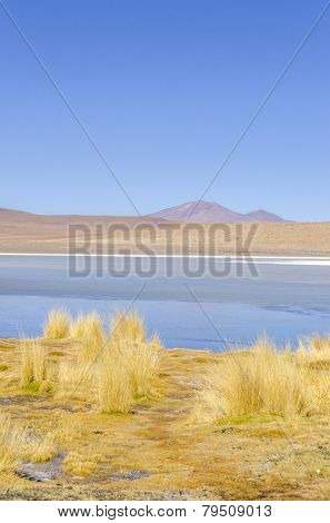 Bolivia, Antiplano - Canapa Lake