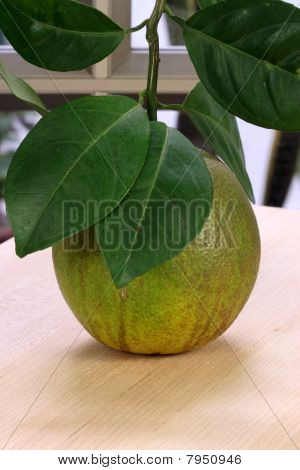 ส้มหวานอินทรีย์