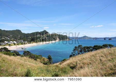 Coromandel