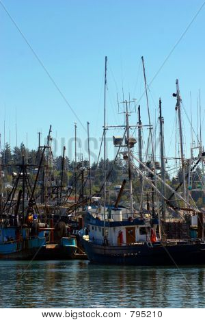 Pesca flotta Newport Harbor