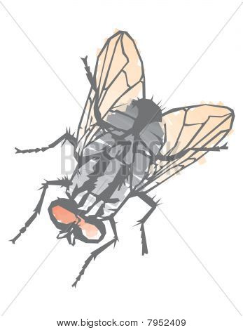 Mosca