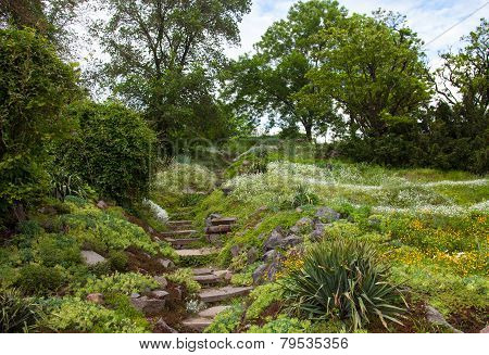 Stony Stairs In The Green Garden