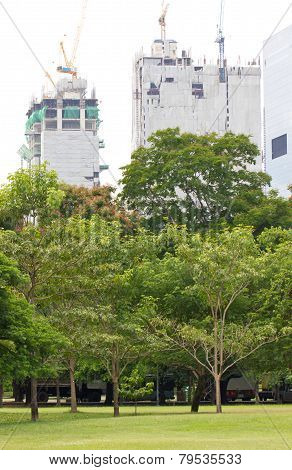 Building Under Construction And Trees
