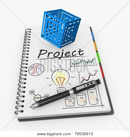 Project Concept