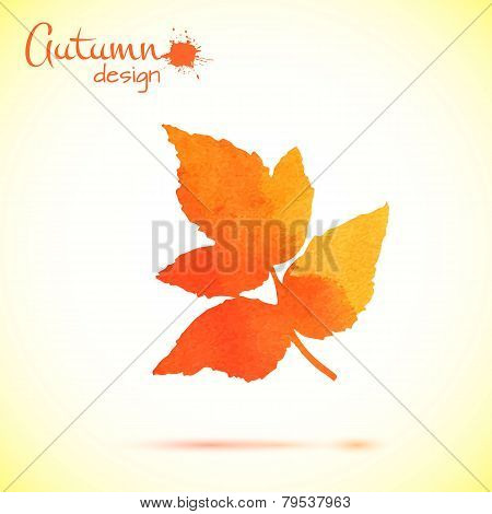 Watercolor leaf