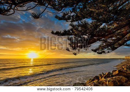 Golden sunset at the beach