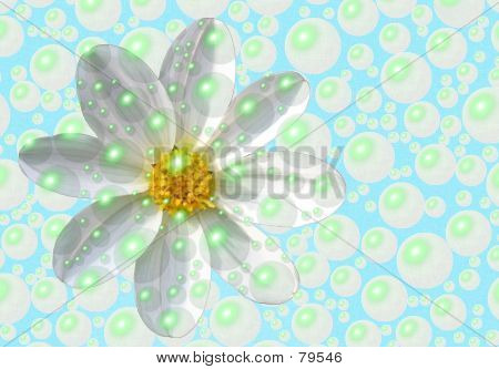 Frisch wie ein Gänseblümchen