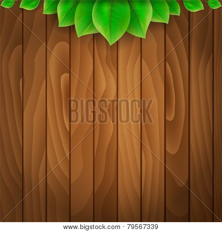 Green Leaves On Wooden Background