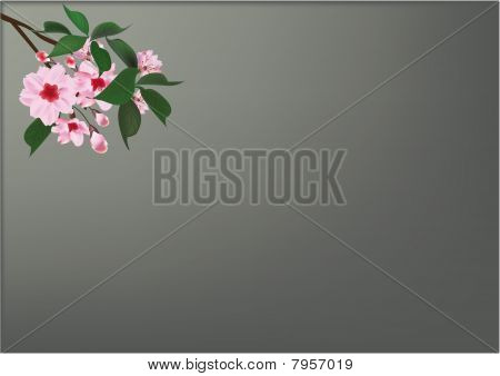 Fiore con foglie