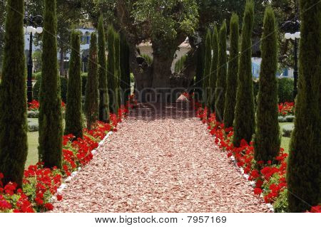 Bahai Garden