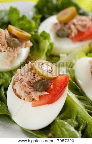 沙拉盘 letuce 鸡蛋金枪鱼和橄榄