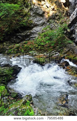 Bled gorge